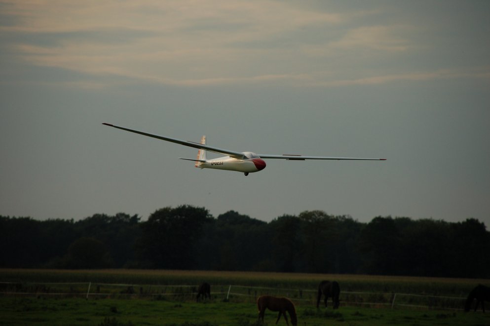 Barver 2011 (153)