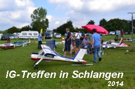 IG-Schlangen 2014 RC (Logo)