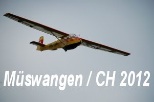 Mswangen 2012