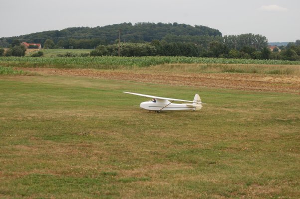 OSIG2010 (11)