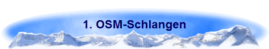 1. OSM-Schlangen