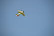 Faszination Segelflug 190714 (78)