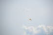 OSM 2014 Ahnsbeck (419)