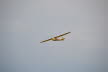 OSM 2014 Ahnsbeck (598)