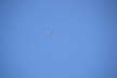 Oerlinghsn 2014 (34)